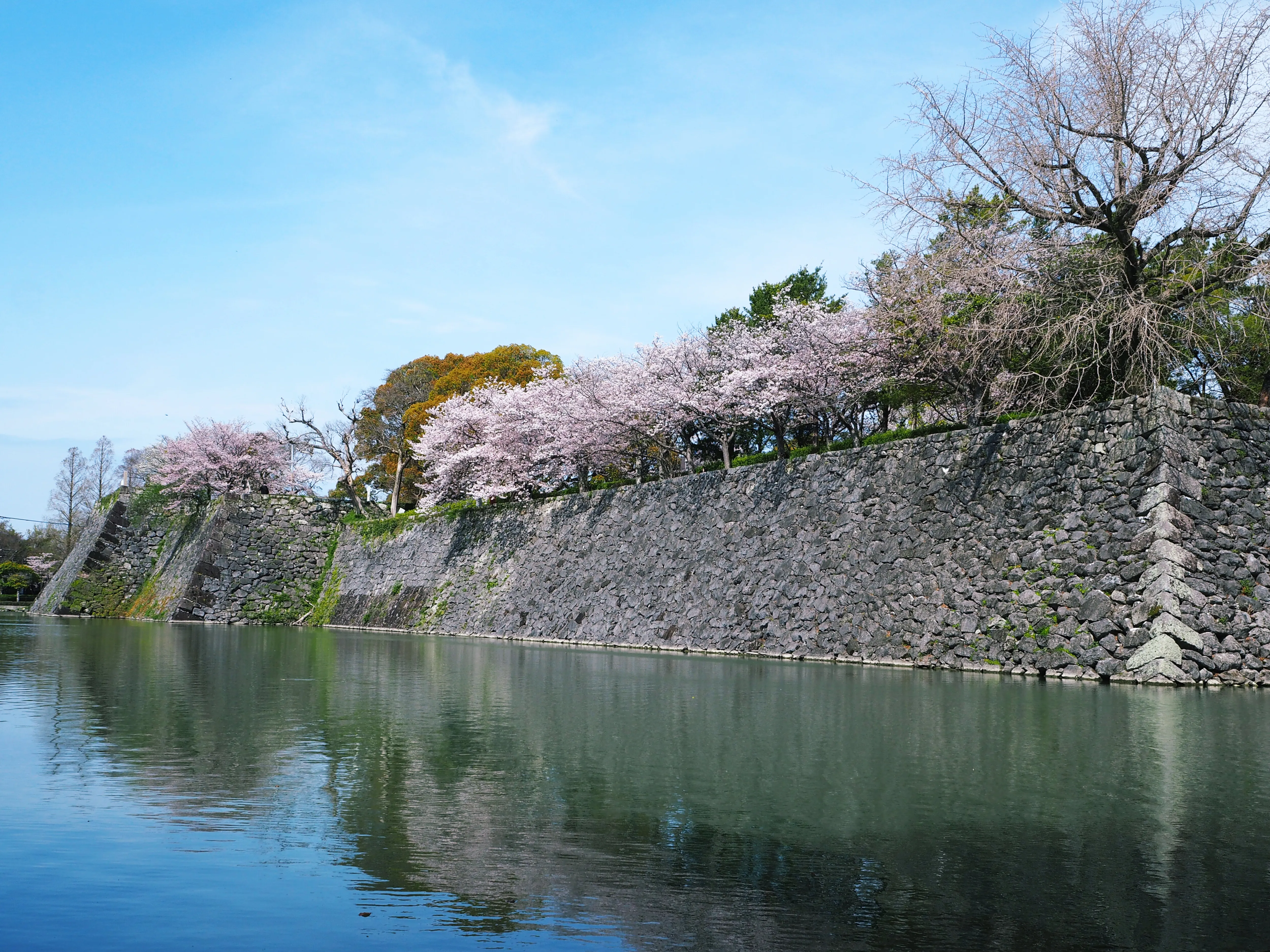 歴史文化を学ぶ旅