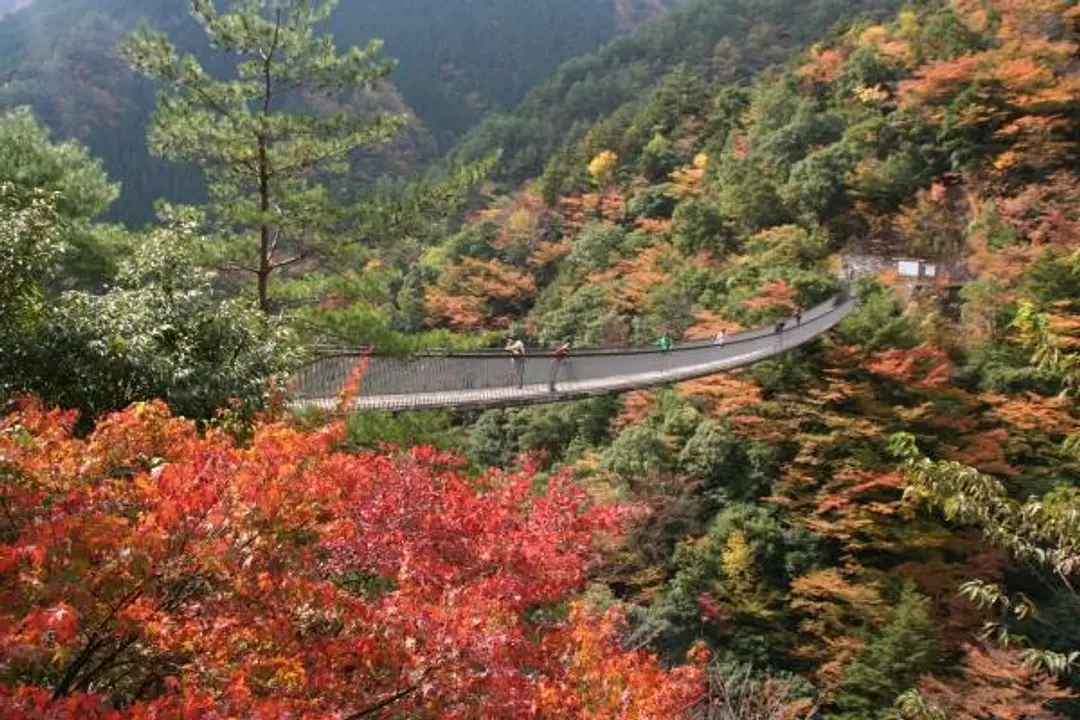 日本の原風景に出会う 五家荘・泉 絶景ドライブ