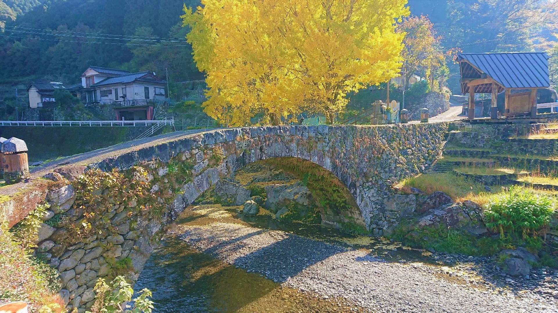 MV.jpg