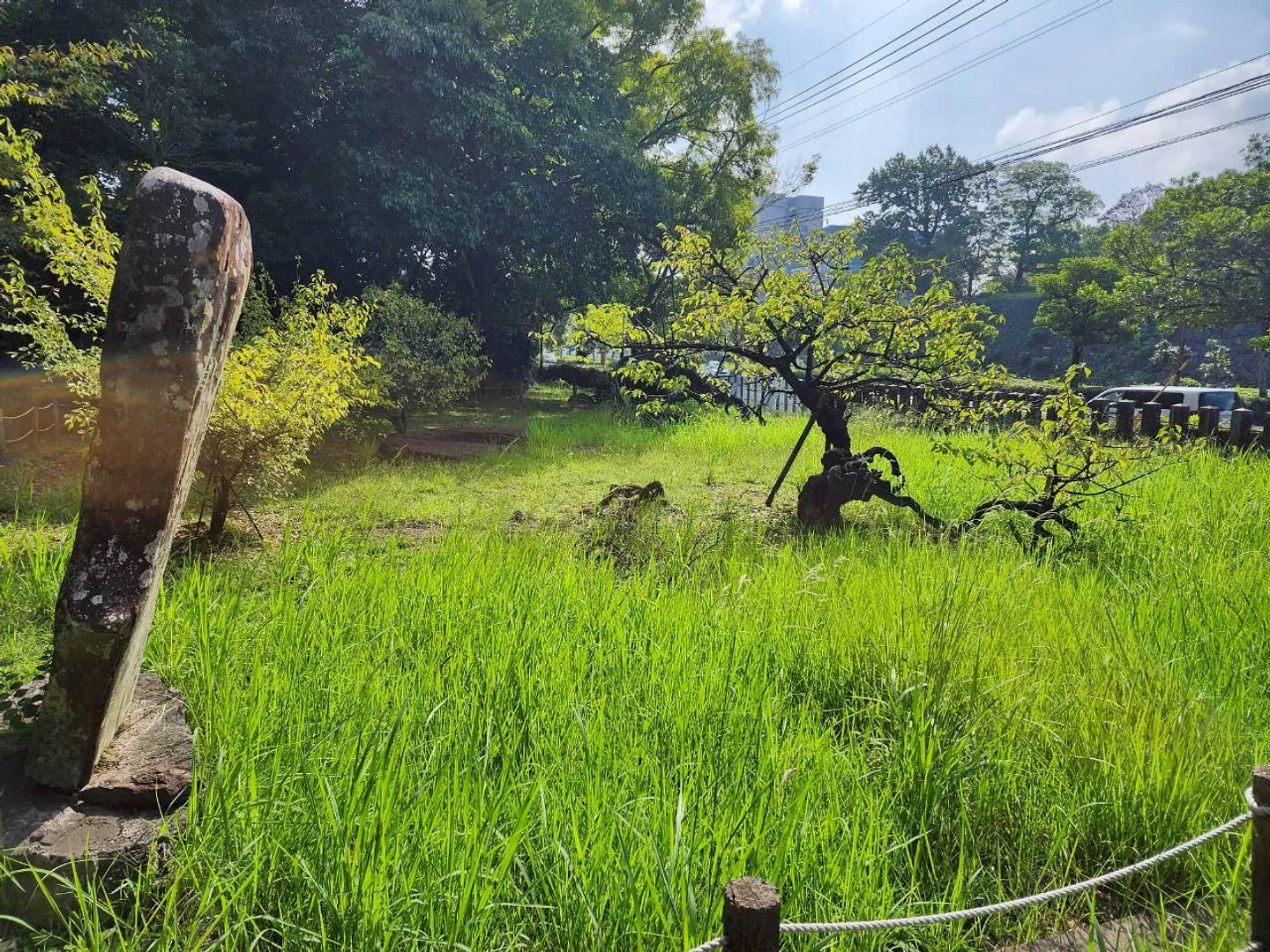 LINE_ALBUM_歴史と文化_250926_4.jpg