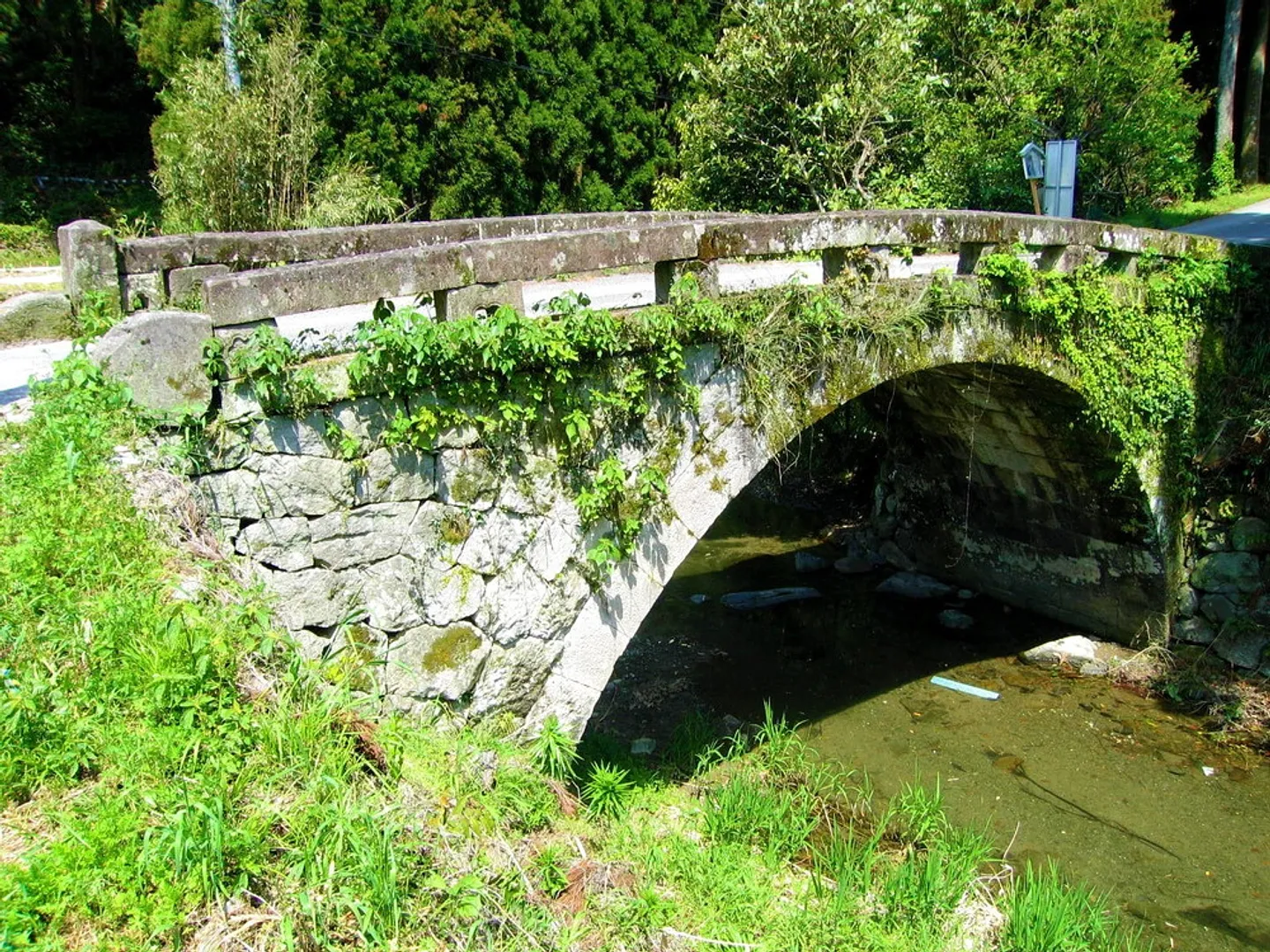 Spot_1429_image.jpg