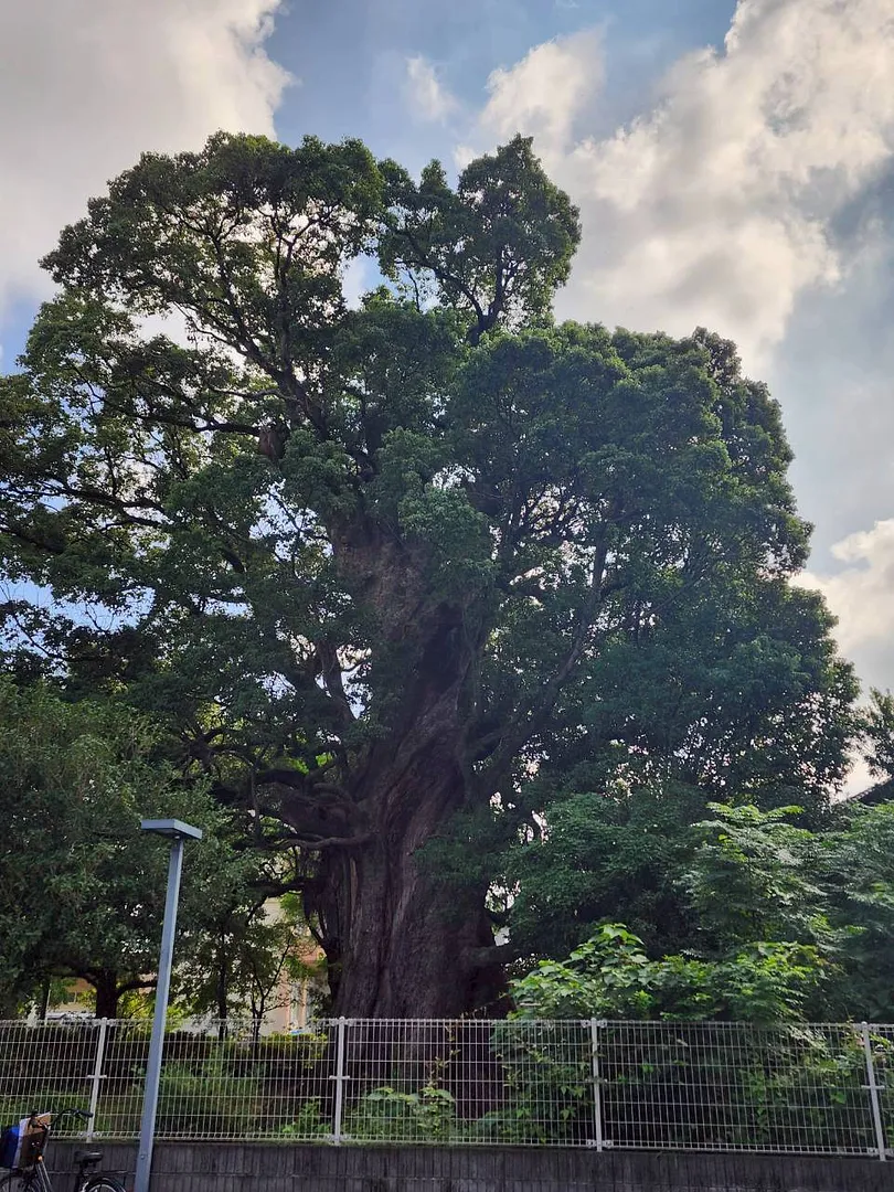 LINE_ALBUM_歴史と文化_250926_2.jpg