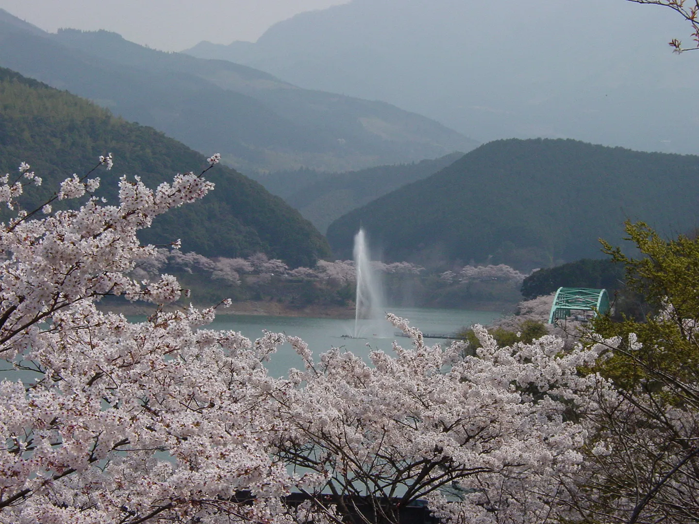 Spot_1369_image.jpg