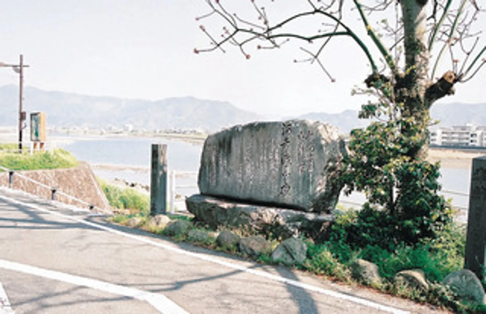 Spot_50_image.jpg