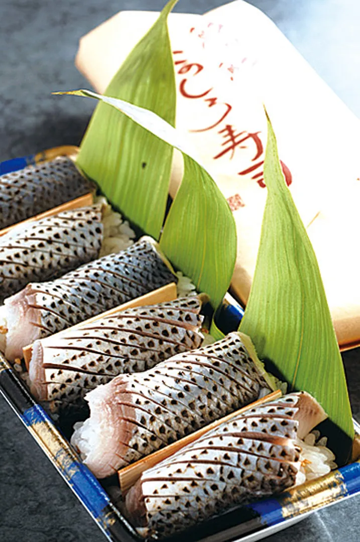 Spot_839_image.jpg