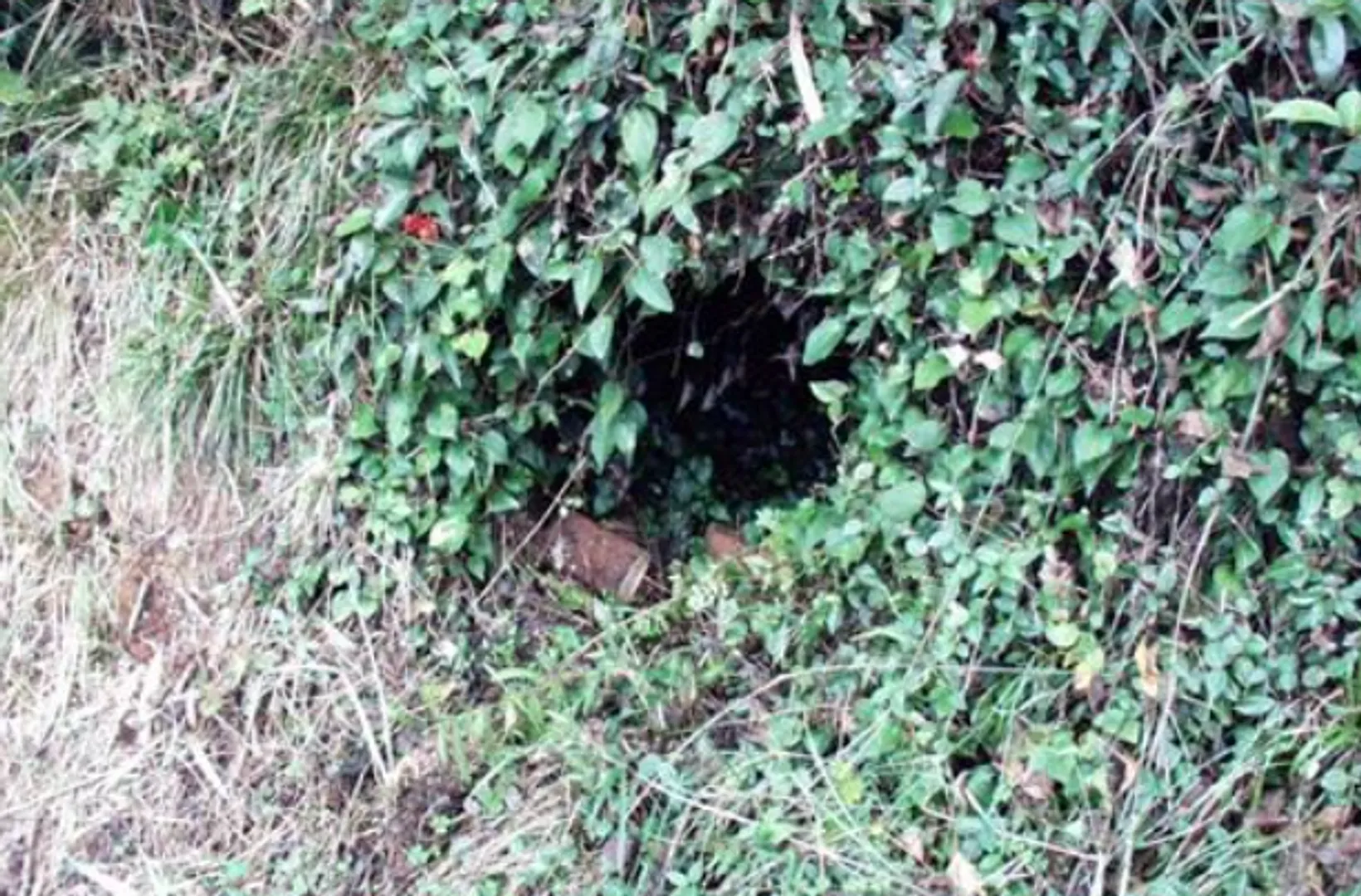 高田焼平山窯跡