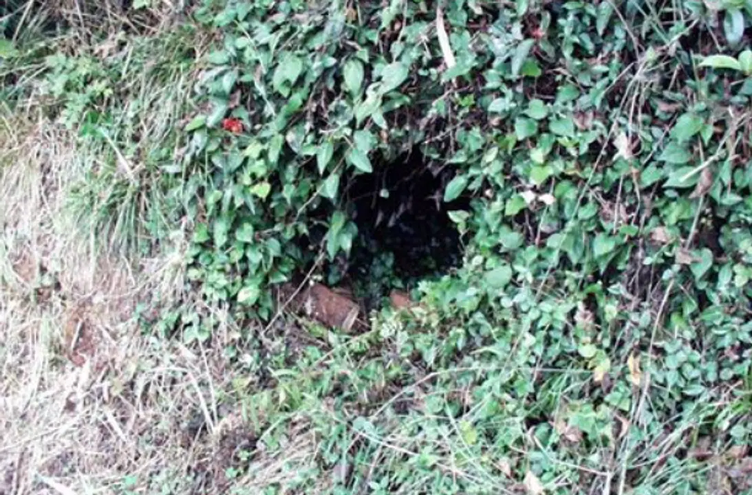 高田焼平山窯跡